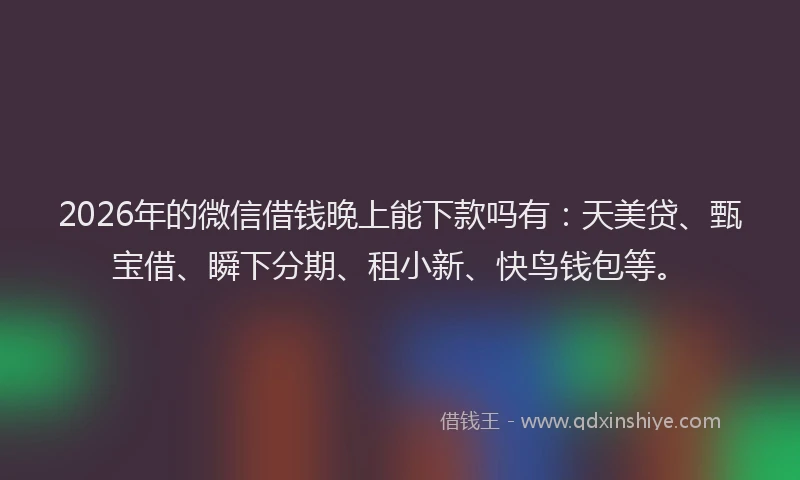 2026年的微信借钱晚上能下款吗有：天美贷、甄宝借、瞬下分期、租小新、快鸟钱包等。