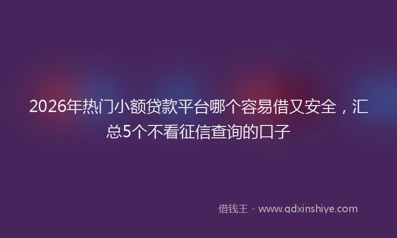2026年热门小额贷款平台哪个容易借又安全，汇总5个不看征信查询的口子