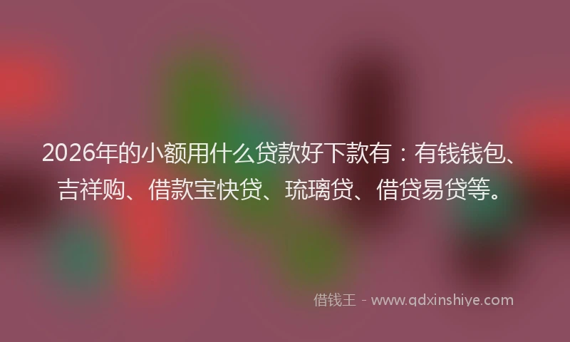2026年的小额用什么贷款好下款有：有钱钱包、吉祥购、借款宝快贷、琉璃贷、借贷易贷等。