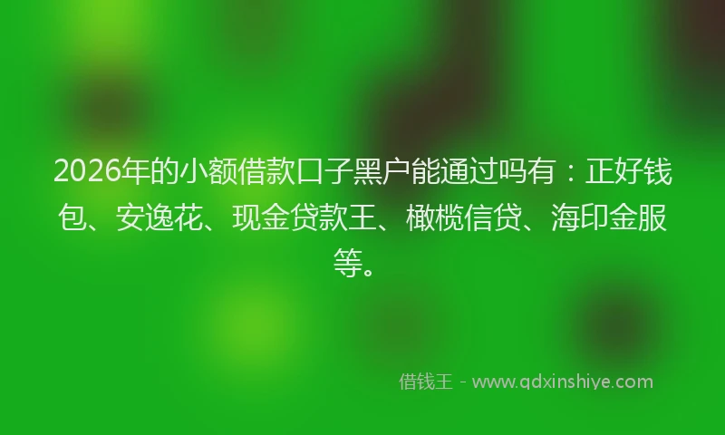 2026年的小额借款口子黑户能通过吗有：正好钱包、安逸花、现金贷款王、橄榄信贷、海印金服等。