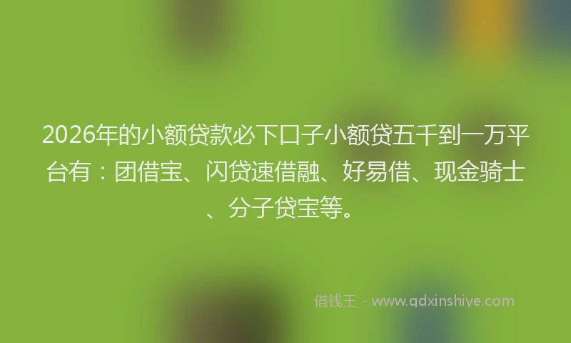 2026年的小额贷款必下口子小额贷五千到一万平台有：团借宝、闪贷速借融、好易借、现金骑士、分子贷宝等。