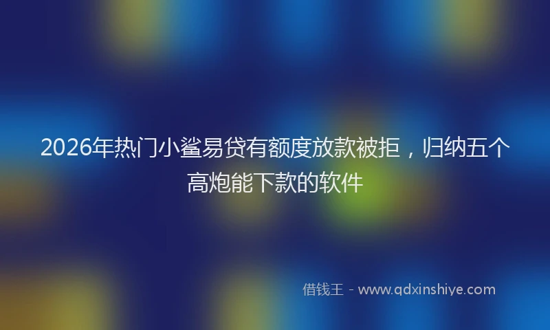 2026年热门小鲨易贷有额度放款被拒,归纳五个高炮能下款的软件