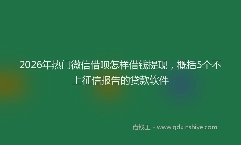 2026年热门微信借呗怎样借钱提现，概括5个不上征信报告的贷款软件