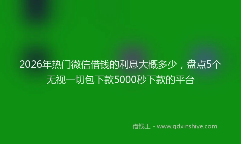2026年热门微信借钱的利息大概多少，盘点5个无视一切包下款5000秒下款的平台