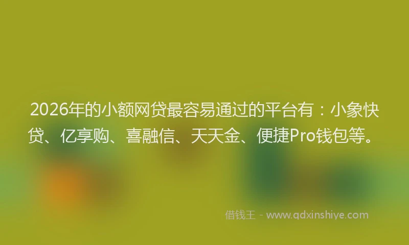 2026年的小额网贷最容易通过的平台有：小象快贷、亿享购、喜融信、天天金、便捷Pro钱包等。