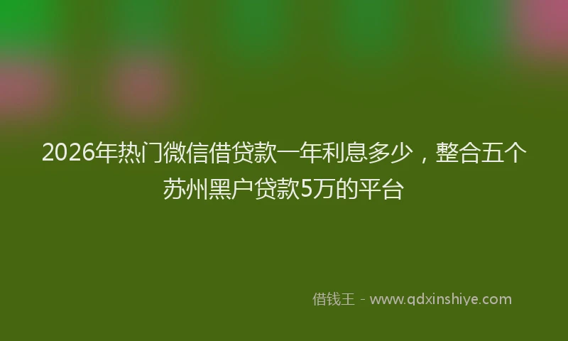 2026年热门微信借贷款一年利息多少，整合五个苏州黑户贷款5万的平台