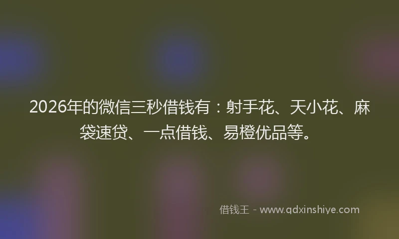 2026年的微信三秒借钱有：射手花、天小花、麻袋速贷、一点借钱、易橙优品等。