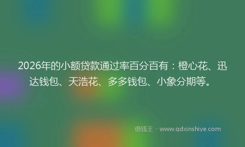 2026年的小额贷款通过率百分百有：橙心花、迅达钱包、天浩花、多多钱包、小象分期等。