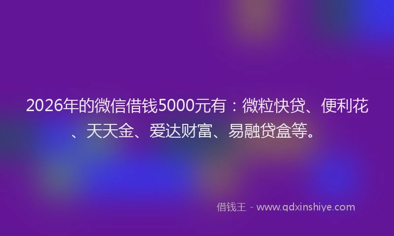 2026年的微信借钱5000元有：微粒快贷、便利花、天天金、爱达财富、易融贷盒等。