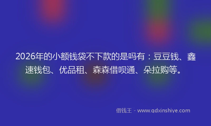 2026年的小额钱袋不下款的是吗有：豆豆钱、鑫速钱包、优品租、森森借呗通、朵拉购等。