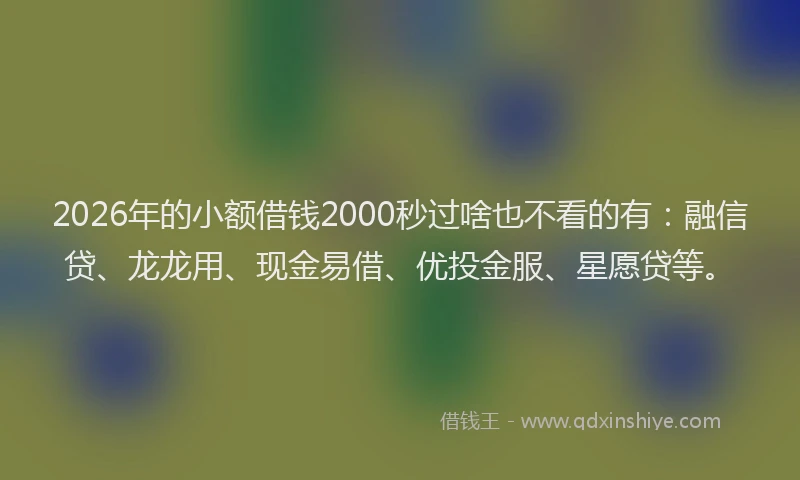 2026年的小额借钱2000秒过啥也不看的有：融信贷、龙龙用、现金易借、优投金服、星愿贷等。
