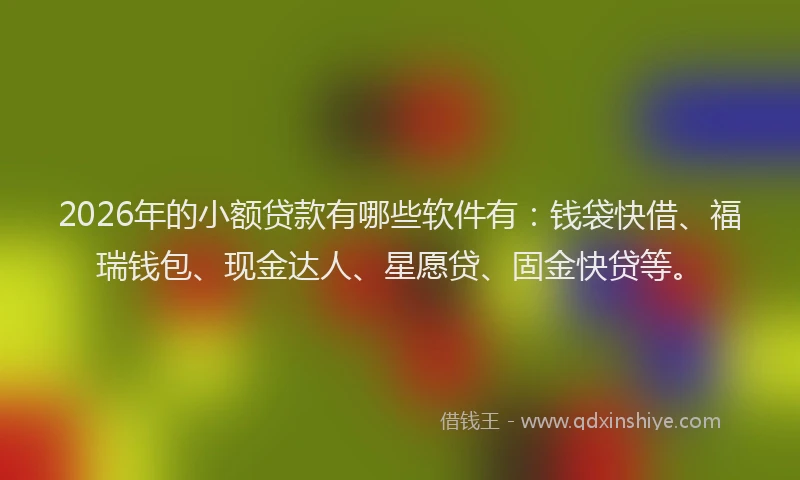 2026年的小额贷款有哪些软件有:钱袋快借、福瑞钱包、现金达人、星愿贷、固金快贷等。