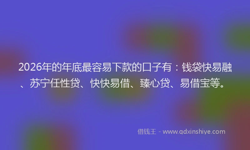 2026年的年底最容易下款的口子有：钱袋快易融、苏宁任性贷、快快易借、臻心贷、易借宝等。