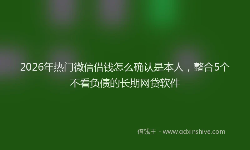2026年热门微信借钱怎么确认是本人,整合5个不看负债的长期网贷软件