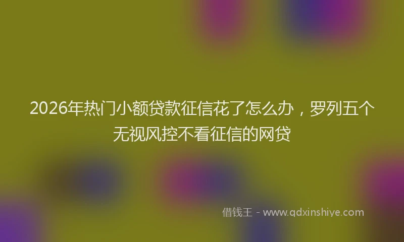 2026年热门小额贷款征信花了怎么办，罗列五个无视风控不看征信的网贷