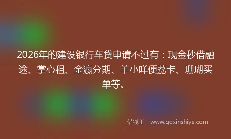 2026年的建设银行车贷申请不过有:现金秒借融途、掌心租、金瀛分期、羊小咩便荔卡、珊瑚买单等。