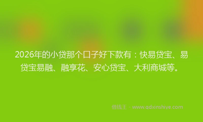 2026年的小贷那个口子好下款有：快易贷宝、易贷宝易融、融享花、安心贷宝、大利商城等。