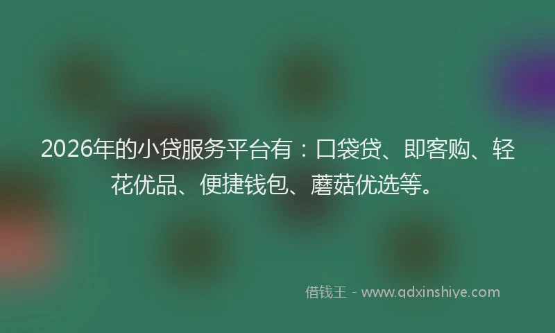 2026年的小贷服务平台有：口袋贷、即客购、轻花优品、便捷钱包、蘑菇优选等。