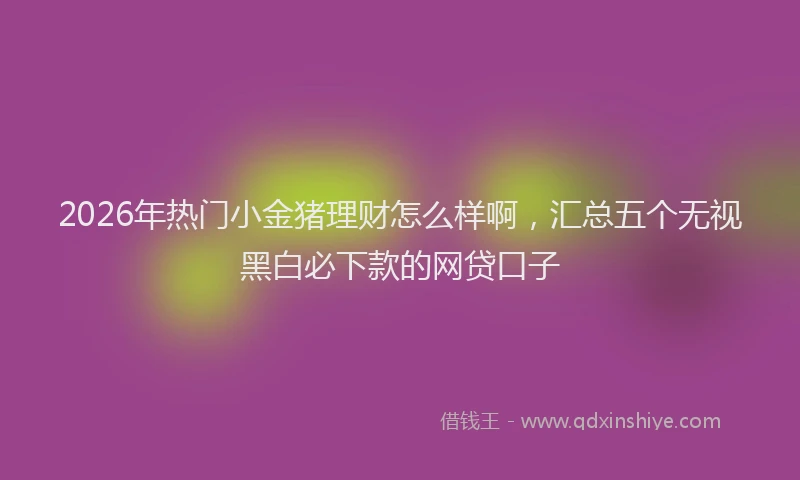 2026年热门小金猪理财怎么样啊，汇总五个无视黑白必下款的网贷口子