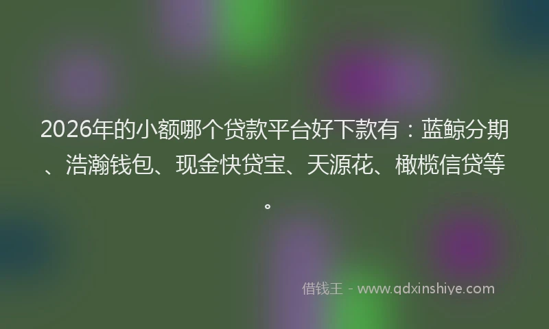 2026年的小额哪个贷款平台好下款有：蓝鲸分期、浩瀚钱包、现金快贷宝、天源花、橄榄信贷等。