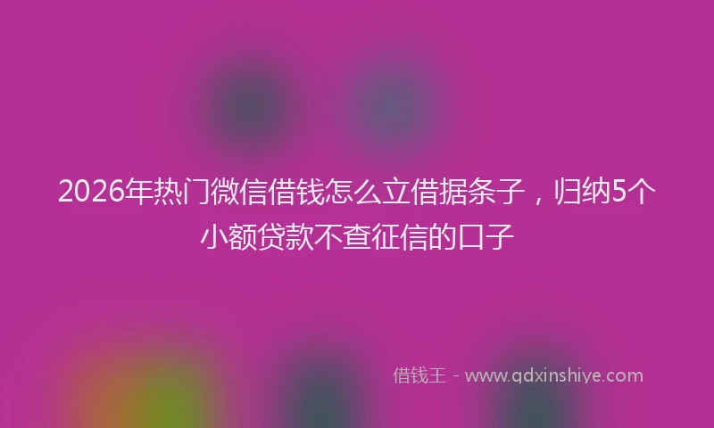 2026年热门微信借钱怎么立借据条子，归纳5个小额贷款不查征信的口子