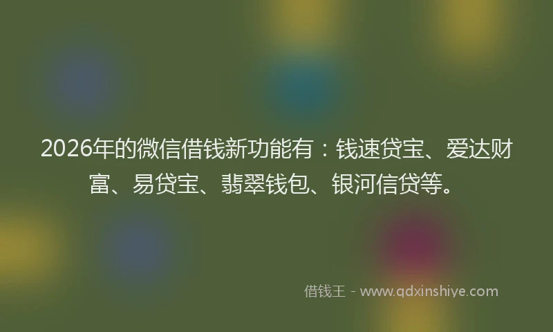 2026年的微信借钱新功能有：钱速贷宝、爱达财富、易贷宝、翡翠钱包、银河信贷等。