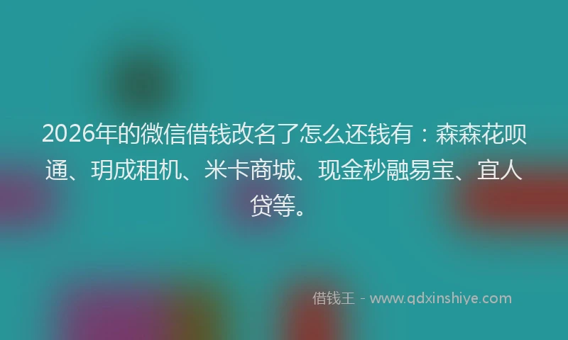 2026年的微信借钱改名了怎么还钱有：森森花呗通、玥成租机、米卡商城、现金秒融易宝、宜人贷等。