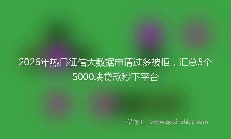 2026年热门征信大数据申请过多被拒，汇总5个5000块贷款秒下平台
