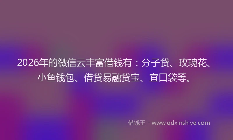 2026年的微信云丰富借钱有：分子贷、玫瑰花、小鱼钱包、借贷易融贷宝、宜口袋等。