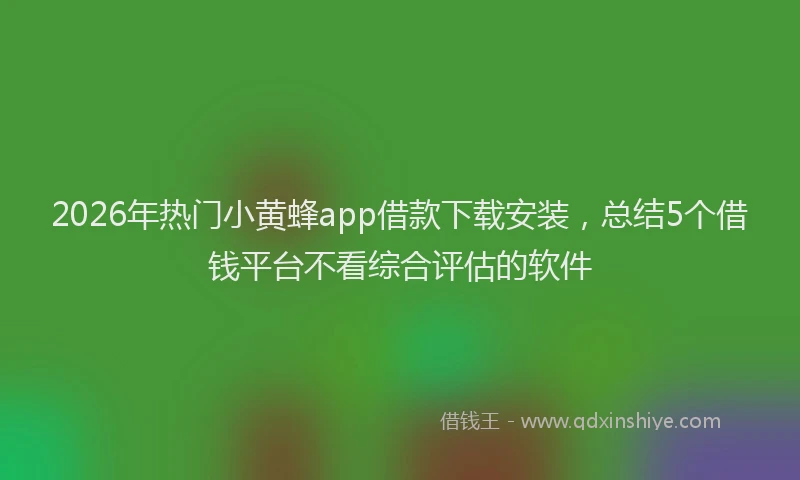 2026年热门小黄蜂app借款下载安装，总结5个借钱平台不看综合评估的软件