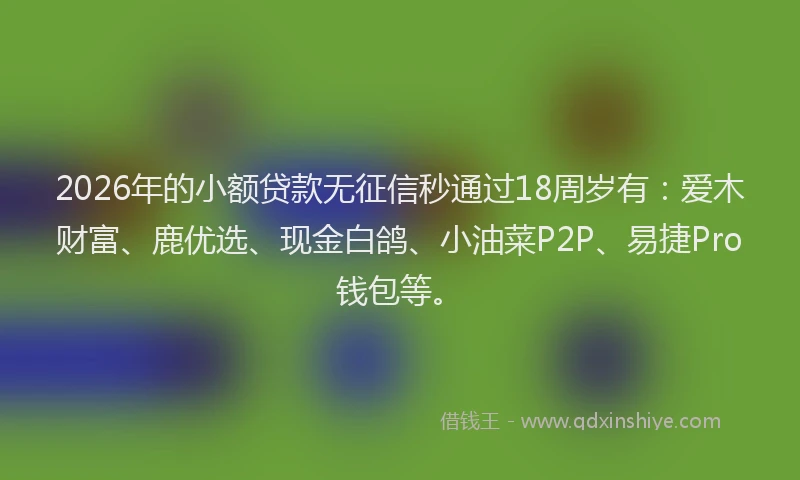 2026年的小额贷款无征信秒通过18周岁有:爱木财富、鹿优选、现金白鸽、小油菜P2P、易捷Pro钱包等。