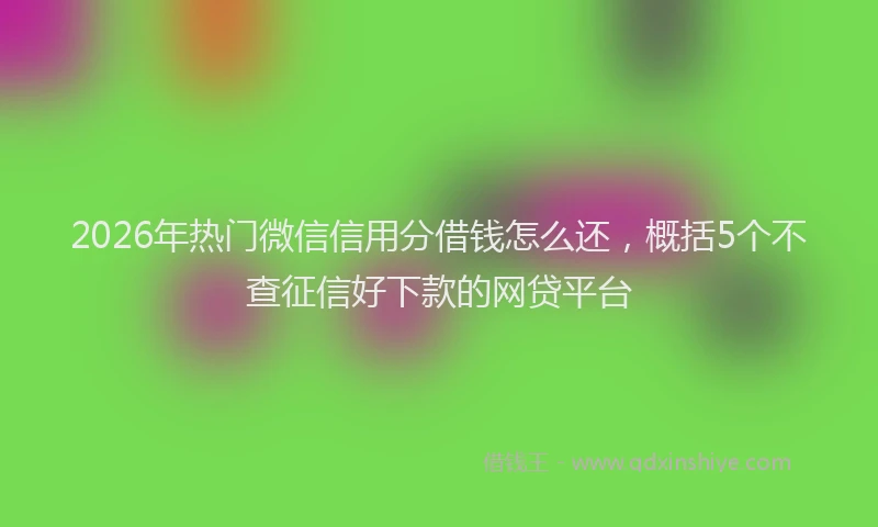 2026年热门微信信用分借钱怎么还，概括5个不查征信好下款的网贷平台
