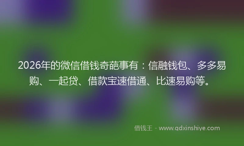 2026年的微信借钱奇葩事有：信融钱包、多多易购、一起贷、借款宝速借通、比速易购等。