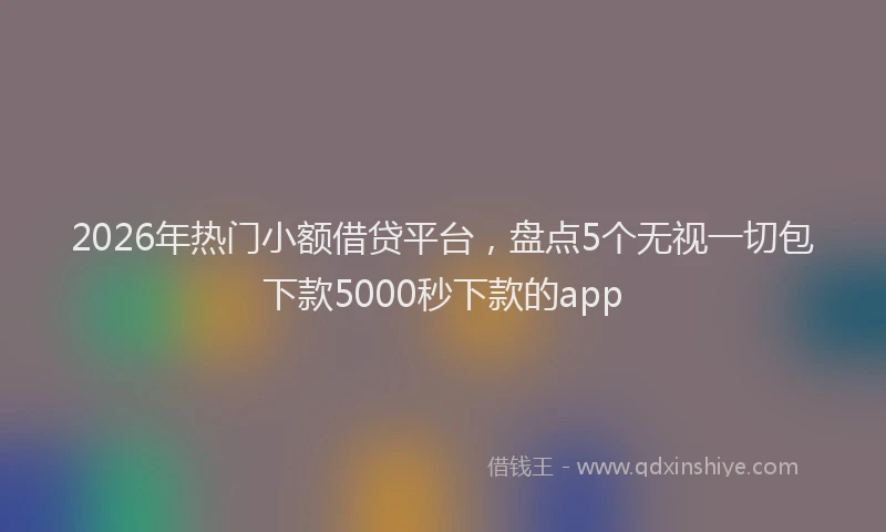 2026年热门小额借贷平台，盘点5个无视一切包下款5000秒下款的app
