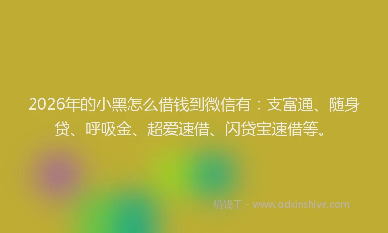 2026年的小黑怎么借钱到微信有：支富通、随身贷、呼吸金、超爱速借、闪贷宝速借等。