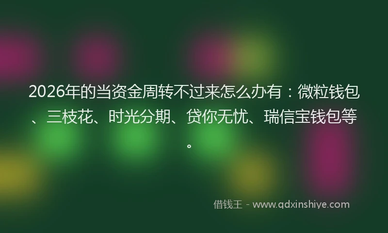 2026年的当资金周转不过来怎么办有:微粒钱包、三枝花、时光分期、贷你无忧、瑞信宝钱包等。