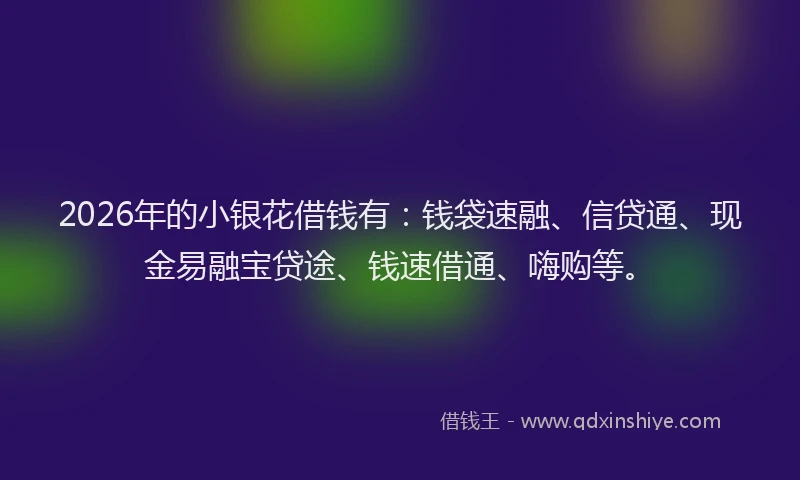 2026年的小银花借钱有：钱袋速融、信贷通、现金易融宝贷途、钱速借通、嗨购等。