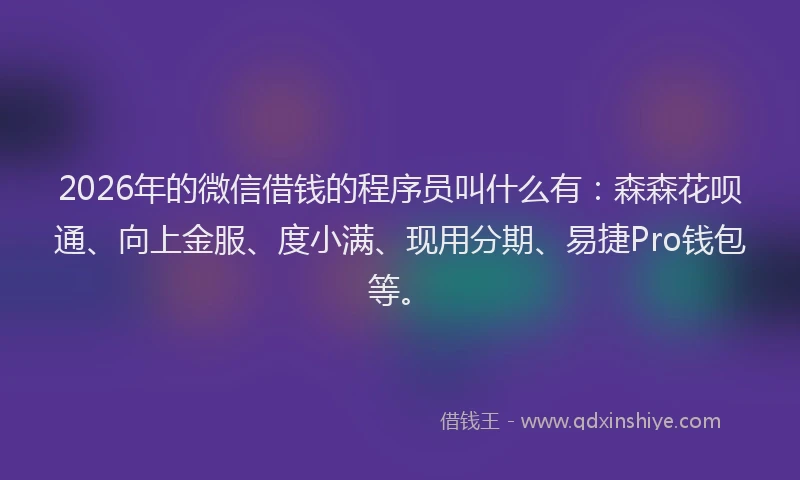 2026年的微信借钱的程序员叫什么有：森森花呗通、向上金服、度小满、现用分期、易捷Pro钱包等。