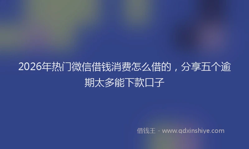2026年热门微信借钱消费怎么借的，分享五个逾期太多能下款口子