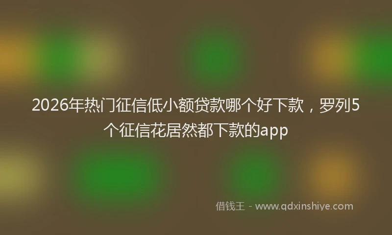 2026年热门征信低小额贷款哪个好下款，罗列5个征信花居然都下款的app
