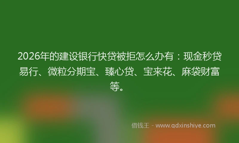 2026年的建设银行快贷被拒怎么办有:现金秒贷易行、微粒分期宝、臻心贷、宝来花、麻袋财富等。