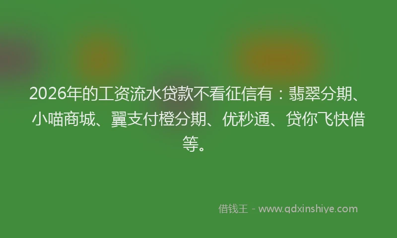 2026年的工资流水贷款不看征信有：翡翠分期、小喵商城、翼支付橙分期、优秒通、贷你飞快借等。