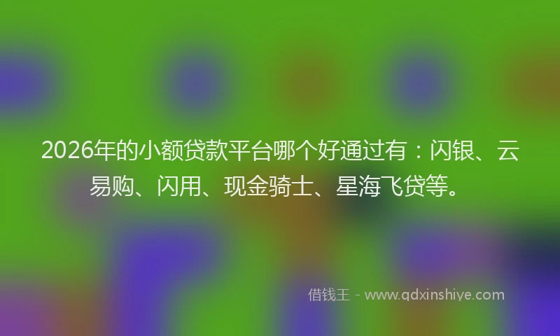 2026年的小额贷款平台哪个好通过有：闪银、云易购、闪用、现金骑士、星海飞贷等。