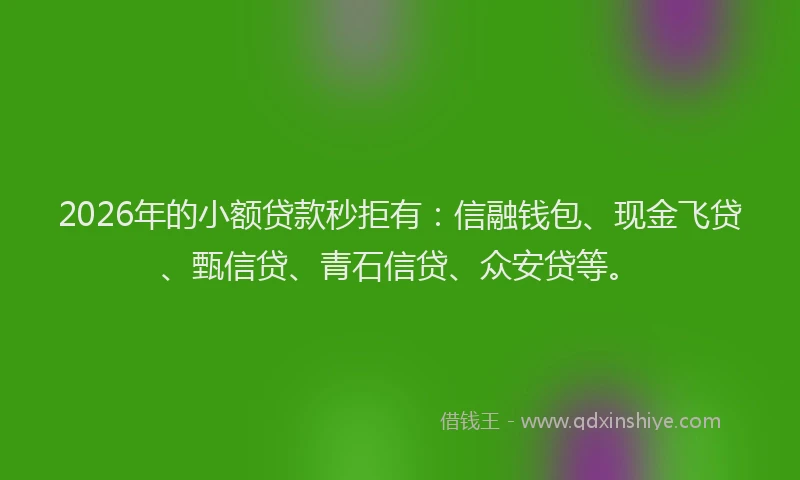 2026年的小额贷款秒拒有：信融钱包、现金飞贷、甄信贷、青石信贷、众安贷等。