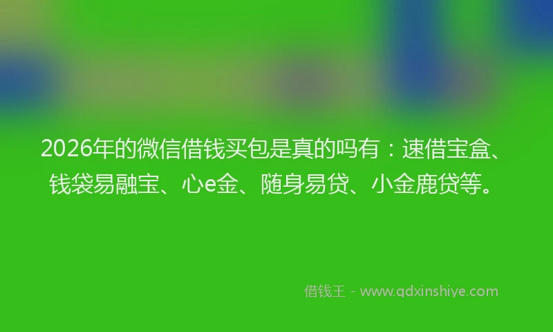 2026年的微信借钱买包是真的吗有：速借宝盒、钱袋易融宝、心e金、随身易贷、小金鹿贷等。