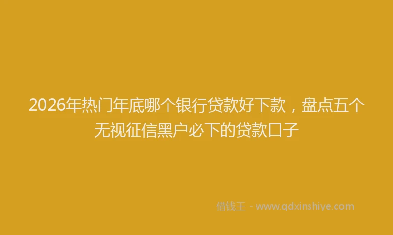 2026年热门年底哪个银行贷款好下款，盘点五个无视征信黑户必下的贷款口子