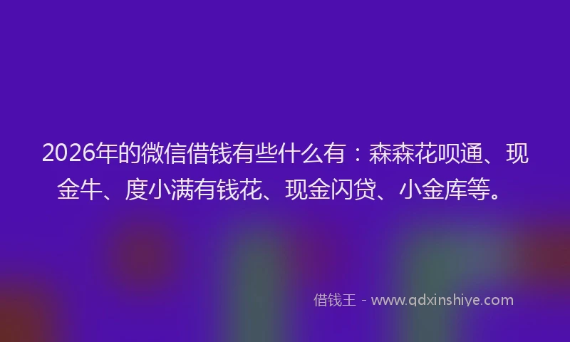 2026年的微信借钱有些什么有：森森花呗通、现金牛、度小满有钱花、现金闪贷、小金库等。
