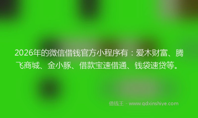 2026年的微信借钱官方小程序有：爱木财富、腾飞商城、金小豚、借款宝速借通、钱袋速贷等。