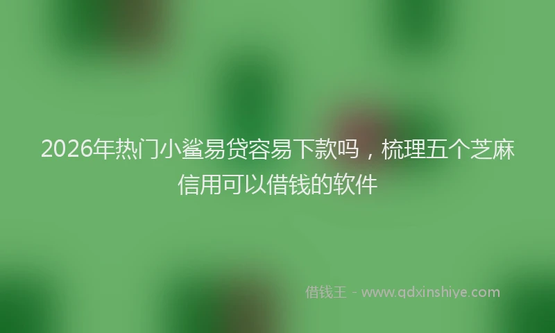 2026年热门小鲨易贷容易下款吗，梳理五个芝麻信用可以借钱的软件