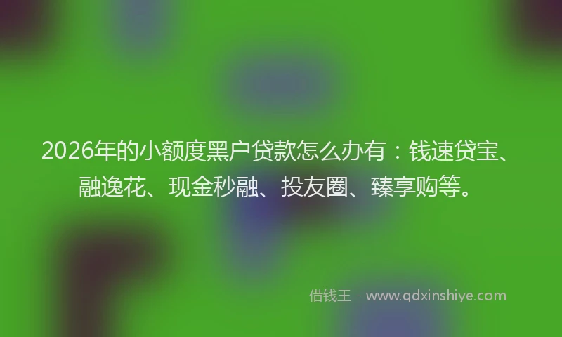 2026年的小额度黑户贷款怎么办有：钱速贷宝、融逸花、现金秒融、投友圈、臻享购等。
